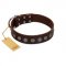 "Starry-Eyed" Best Quality FDT Artisan Brown Designer Leather Sharpei Collar with Small Plates