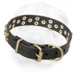 Leather Shar-Pei Collar Decorated with Brass Pyramids