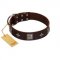 "Cold Star" Designer FDT Artisan Brown Leather Sharpei Collar with Silver-Like Adornments