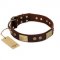 "Shining Armour" FDT Artisan Brown Leather Sharpei Collar with Decorations
