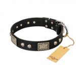 "Pirates Gold" FDT Artisan Black Leather Sharpei Collar with Old Silver Look Plates and Skulls