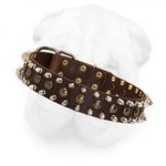 Extra Wide Shar Pei Leather Collar with Refined Spiked and Studded Decoration