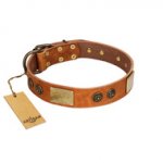 "Bronze Century" FDT Artisan Tan Leather Sharpei Collar with Plates and Brooches with Cool Ornament