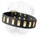 Gorgeous Wide Leather Dog Collar With Plates for Shar Pei