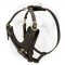 Shar Pei Breed Exclusive Padded Leather Harness for Walking and Training with Brass Fittings