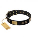 "Chicci-Glam" FDT Artisan Black Leather Sharpei Collar with Plates and Ornate Studs