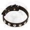 Decorated Shar-Pei Collar with Nickel Half-Ball Studs