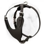 Durable Leather Harness with Y-shaped Chest Plate for Training and Walking