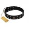 "Black Jack" Stylish Handmade FDT Artisan Black Leather Sharpei Collar