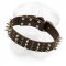 Extra Wide Leather Buckle Collar with Spikes and Studs Arranged into Interchanging Columns