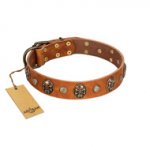 "Call of Feat" FDT Artisan Tan Leather Sharpei Collar with Old Bronze-like Studs and Oval Brooches
