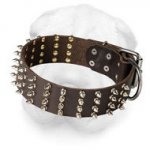 Wide Shar Pei Collar with Four Rows of Nickel Spikes