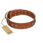 "Splendid Armor" Premium Quality FDT Artisan Tan Designer Sharpei Collar with Shields and Stars