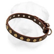 Shar Pei Leather Collar with Flat Round Brass Studs