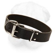 1 1/2 Inches Wide Leather Collar of Plain Design for Shar Pei