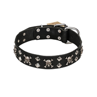 FDT Artisan 'Rock 'n' Roll Style' Fancy Leather Shar Pei Collar with Skulls, Bones and Studs 1 1/2 inch (40 mm) wide