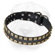 "Caterpillar" Design Leather Dog Collar for Shar-Pei