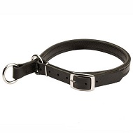Shar Pei Breed Adjustable Leather Slip Collar