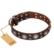 'Age of Beauty' FDT Artisan Incredible Studded Brown Leather Shar Pei Collar