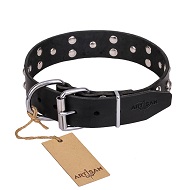 FDT Artisan 'Mystic Skulls' Decorated Leather Shar Pei Dog Collar with Skulls and Studs 1 1/2 inch (40 mm)