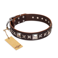 "Perfect Impression" FDT Artisan Brown Leather Shar Pei Collar with Shining Studs - 1 1/2 inch (40 mm) Wide