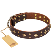 'High Fashion' FDT Artisan Embellished Brown Leather Sharpei Collar