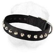 Nylon Shar-Pei Collar with Nickle Pyramids