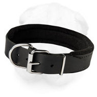 Padded Shar-Pei Collar for Agitation Training and Everyday Walking (Wide)