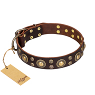 'Flower Melody' FDT Artisan Brown Leather Shar Pei Collar with Mixed Studs
