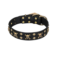 'Jolly Rojer' FDT Artisan Shar Pei Leather Dog Collar with Pirate Skulls and Studs - 1 1/2 inch (40 mm) wide