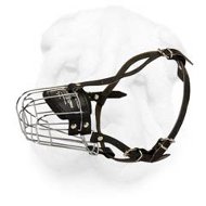 Comfortable Everyday Wire Cage Muzzle for Shar Pei
