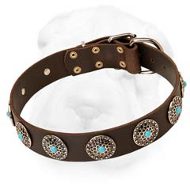 Wide Leather Collar with Silver Plated Blue Stones Decorated Conchos for Shar Pei