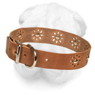 Leather Shar-Pei Collar with Flower Decoration