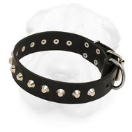 Leather Shar-Pei Collar with Nickel Plated Pyramids