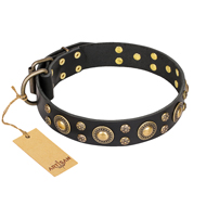 'Baroque Chic' FDT Artisan Studded Black Leather Sharpei Dog Collar
