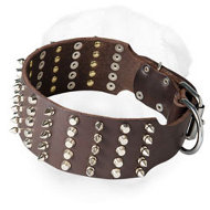 Wide Shar-Pei Collar Decorated with Spikes and Studs