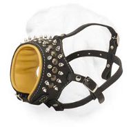 Nappa Padded Open-Ended Leather Muzzle for Shar Pei with Spiked Decoration