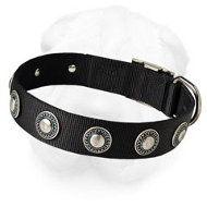 Nylon Shar-Pei Collar with Silver Conchos