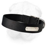 Shar-Pei Nylon Collar with Name Tag