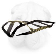 Professional Shar Pei Weight Pulling Harness with Spreader Bar