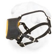 Royal Comfort Leather Muzzle for Everyday Walking Shar Pei