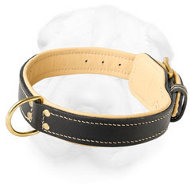 Royal Shar-Pei Collar with Nappa Padding