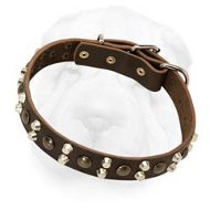 Wide Leather Buckle Collar with Staggered-Order Metal Ornament for Shar Pei