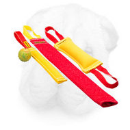 French Linen Bite Set for Shar Pei