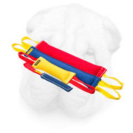 French Linen Bite Tug Set for Effective Shar Pei Training