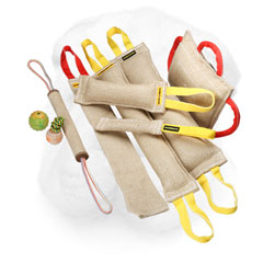 Jute Shar Pei Bite Set with Three Gift Items