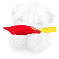 French Linen Shar Pei Bite Tug with Long Handle