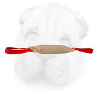 Jute Shar Pei Bite Tug with Two Durable Handles