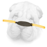 Small Leather Bite Tug for Shar Pei Puppies