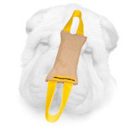 Genuine Leather Shar Pei Bite Tug with Two Handles